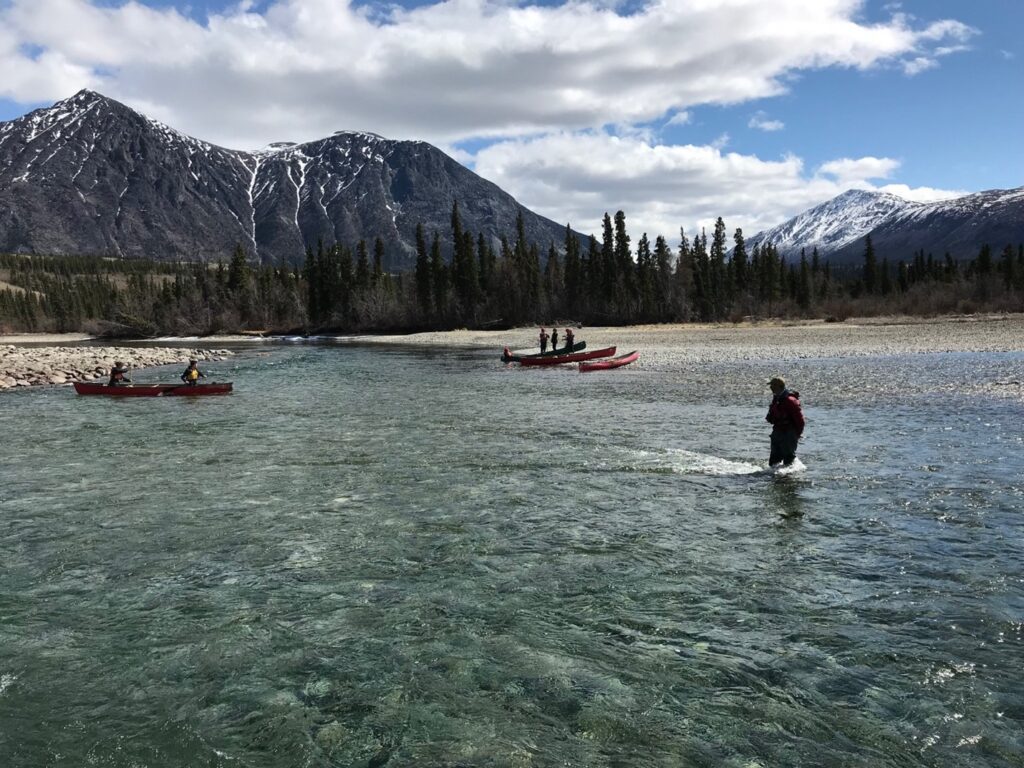 Four canoes crossing a crystal clear river with a man watching them. Snowy peaks in the background.